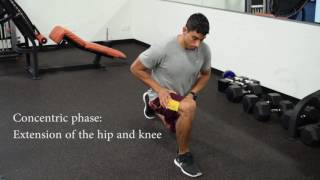 How to Perform the Lunge ACSM CPT Exam [upl. by Jews]