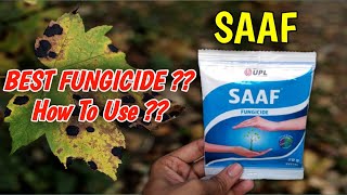 How To Use Saaf Fungicide On Plants In Hindi  Best Fungicide  Carbendazim 12  Mancozeb 63 WP [upl. by Mellie330]