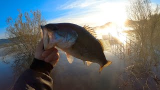 GIANT CRAPPIE amp BASS fishing bass bassfishing crappiefishing crappies doubleup [upl. by Nnyleuqcaj144]