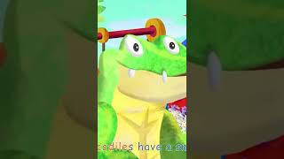 Crocodile Alligator Song  CoComelon Nursery Rhymes amp Kids Songs shorts [upl. by Lander]