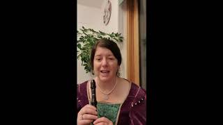 Recorder Workshop 2 Learning Gaudete [upl. by Butcher702]