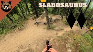 New Double Black Diamond at Panorama Bike Park  Slabosaurus  Mountain Biking POV [upl. by Sungam187]