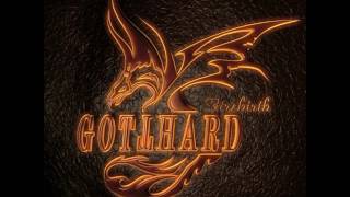 Gotthard  2012  Firebirth [upl. by Charity]