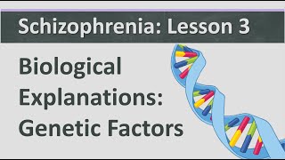 Schizophrenia Lesson 3  Biological Explanation  Genetic Factors [upl. by Aracot]