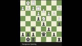 Saragossa opening chess magnus chessopening magnusvshikaru chessstrategy chesscom checkmate [upl. by Erminia680]