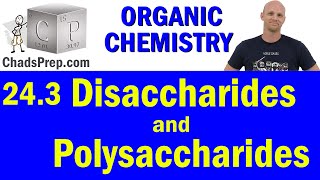 243 Disaccharides and Polysaccharides  Organic Chemistry [upl. by Kragh100]