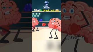 Why Does a Hypic Jerk Occur 😱 shorts fact factoholic Brain amazingfacts [upl. by Brodsky916]