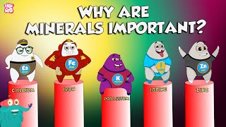 Why Are Minerals Important  Functions Of Minerals  The Dr Binocs Show  Peekaboo Kidz [upl. by Adnilg]