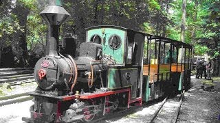 Feldbahn Museum 500 Nürnberg 3152014 [upl. by Ennairoc]