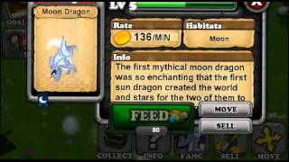 Dragonvale  NEW Moon Dragon Evolution [upl. by Alcott983]