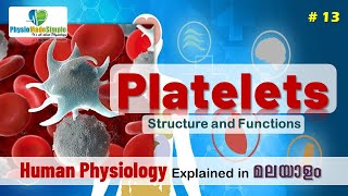 Ep13  Platelets  Malayalam [upl. by Yarled]