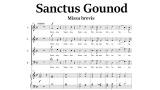 Sanctus Gounod  Missa Brevis n7  Organo solo [upl. by Palumbo]