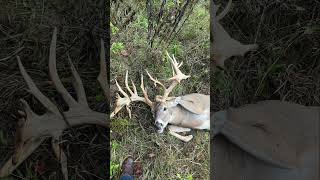 Trudy point buck deer hunting deerhunting whitetaildeer [upl. by Nylecaj]