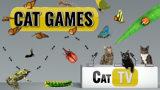 CAT Games  Ultimate Cat TV Bugs and Butterflies Compilation Vol 5 🪲 🐞🦋🦗🐜  Videos For Cats to Watch [upl. by Inobe]