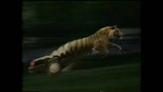 Exon 1992 TV Commercial quotRely on the Tigerquot [upl. by Attelrac449]