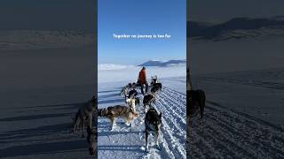 NORWAY with DOGS 🇳🇴 mountains [upl. by Leitman572]