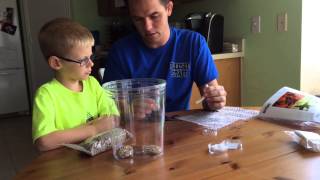 Setting Up Our Milkweed Bug Habitat Terrarium [upl. by Assilym]