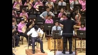 梁祝  The Butterfly Lovers Erhu Concerto [upl. by Laroc]