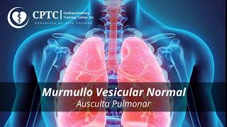 Murmullo Vesicular normal [upl. by Ioved533]