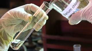 Reaction Between Sodium Sulphate and Barium Chloride Solution  MeitY OLabs [upl. by Murdocca]