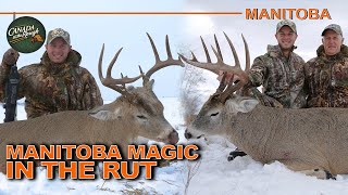 160” Manitoba Buck NonStop Action  Canada in the Rough [upl. by Enywtna]