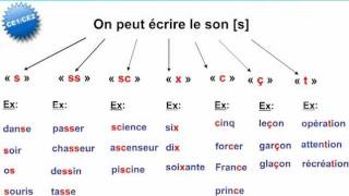 Mots avec le son s au CE2 CE1 FLE [upl. by Terena]