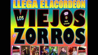 los viejos zorros vol 1 año 2004 idea y produccion silviio ryhr te 2396 619386 [upl. by Yekim402]