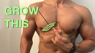 3 Exercises To Isolate Your Lower Chest  Muscle Gain Exercises [upl. by Lraep]