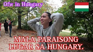 MALA PARAISONG LUGAR SA HUNGARY 🇭🇺 [upl. by Llenyar]