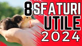 8 Sfaturi de Aur pentru Puii de O Zi în 2024 [upl. by Eardna]