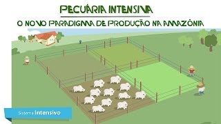 Pecuária Intensiva Novo Paradigma de Produção da Amazônia IPAM Amazônia  legendado em inglês [upl. by Alburga573]