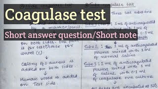 Coagulase test  Staphylococcus aureus [upl. by Leiuqese]