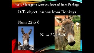 Gods Menagerie Lessons From a Donkey  Clif Fox  2024July21  Groesbeck church of Christ [upl. by Ahsema]