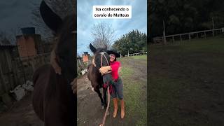 Isabelle Nogueira conhece Choppin famoso cavalo do Matteus riograndedosul viral mabelle shorts [upl. by Veedis]