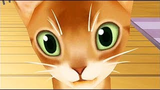 Crazy Kittens  Cartoon Games Kids TV [upl. by Ahcsatan964]