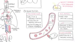 PART II  Pneumonia Transmission Causative Agents Investigations Management [upl. by Narad]