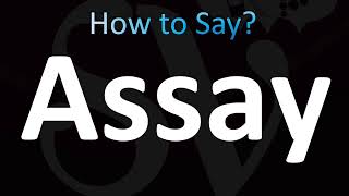 How to Pronounce Assay CORRECTLY [upl. by Aihtela33]