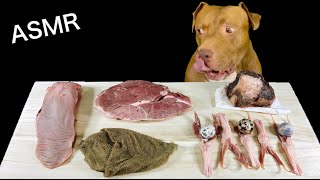 ASMR MUKBANG PITBULL EATING RAW FOODS Whale Ribs Duck Tongue Quail Eggs Pork tongue Omasum Lamb [upl. by Nipahc5]