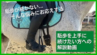 お悩み解決「駈歩継続のポイント」エルミオーレ豊田 吉川インストラクターampアルストロメリア [upl. by Awad694]