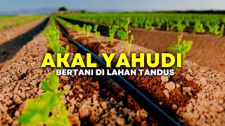 Pertanian Israel Maju Pesat Dengan Teknologi Ini  Rahasia Sukses Pertanian Israel [upl. by Eessej]