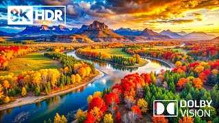 The Beauty of Nature in 8K HDR Dolby Vision 60FPS [upl. by Lacey]