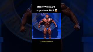 roelly winklaar best shape shorts fitness gym workout bodybuilding [upl. by Nilatak]