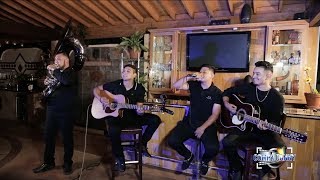 Perfil Bajo quotVida Peligrosaquot El Solecito Cover En Vivo 2018 [upl. by Shoshana]