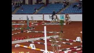 APHA World Show Murphys Bar and Grill  Trail [upl. by Orpha]