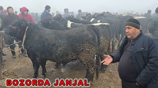 Margilon Kombina Mol Bozori 17112024 Tumanli Mazza Bozor boldi [upl. by Iasi759]