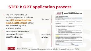 OPT Application Process [upl. by Vanzant]