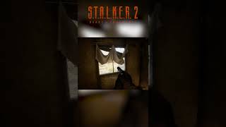 😂 Stalker 2 Developers Added This To Make Fun Of Us stalker2 [upl. by Nikolas]