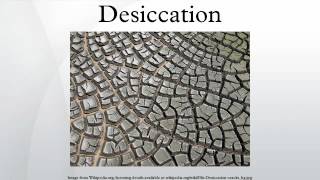 Desiccation [upl. by Malek]