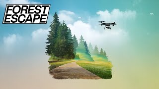 Forest Escape  Aerial Footage [upl. by Alaehs655]