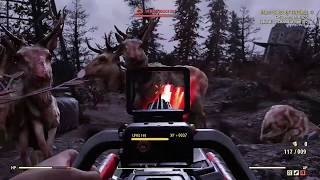 Where to Find Radstag in Fallout 76 [upl. by Anwahsiek]